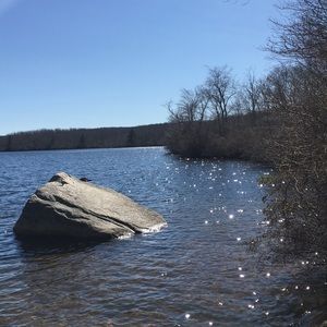 Meet your Posher, Rachael